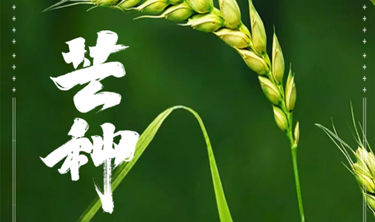 MRCAT猫先生_官方网站