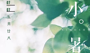 MRCAT猫先生_官方网站