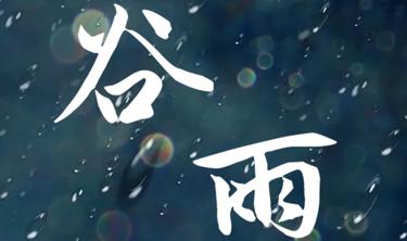 MRCAT猫先生_官方网站