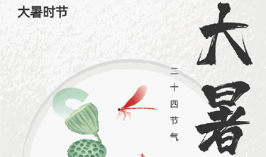 MRCAT猫先生_官方网站