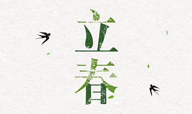 MRCAT猫先生_官方网站